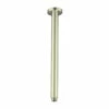 Nero Tapware Round Ceiling Arm Brushed Gold NR503100BG -Bathroom Supplies Sales 2024 BA4089
