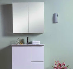 Best BM Bathroom Vanity Mirror Cabinet 750mm Medicine Cupboard Wall Hung Two Doors With Mirrors BMC-750