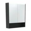 Fienza 750 LED Mirror Cabinet With Display Shelf Matte Black PSC750SB-LED -Bathroom Supplies Sales 2024 BA7383